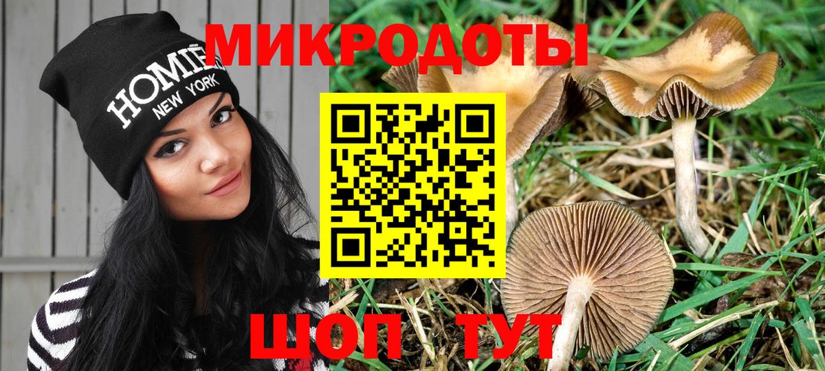 Галлюциногенные грибы мухоморы Лыткарино